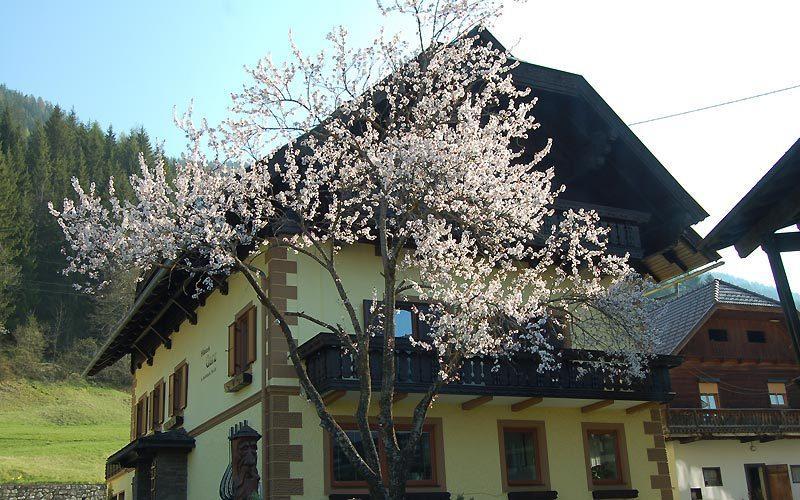 Ferienwohnung Haus Garz Weissensee Exterior foto